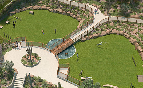 The-Park-Intro-Dog-Park